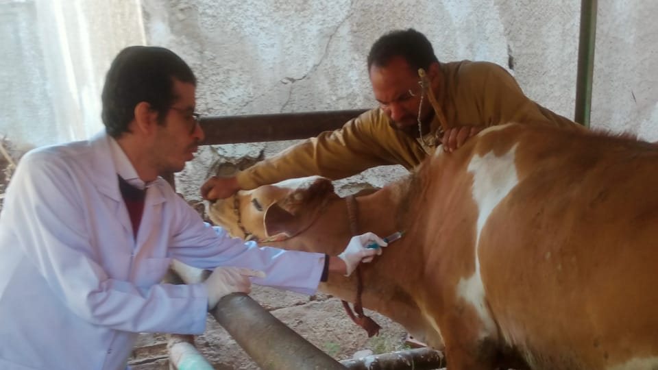 قافلة بيطرية