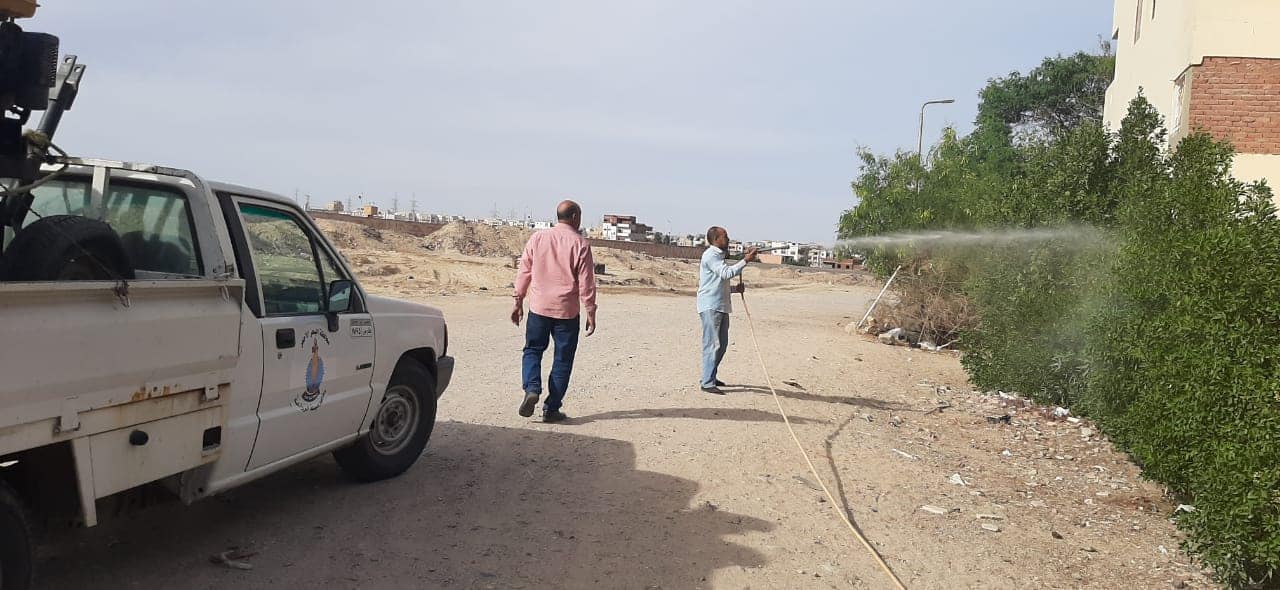 صورة موضوعية