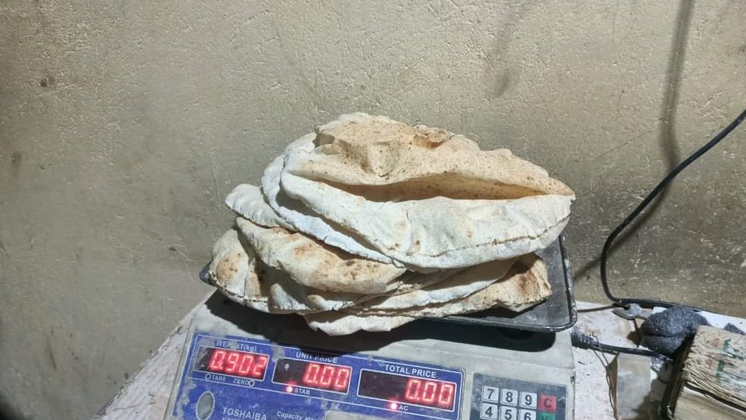 حملة تمونية