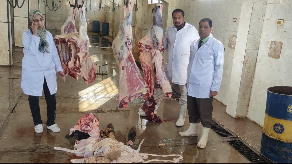  إعدام عجل بقرى