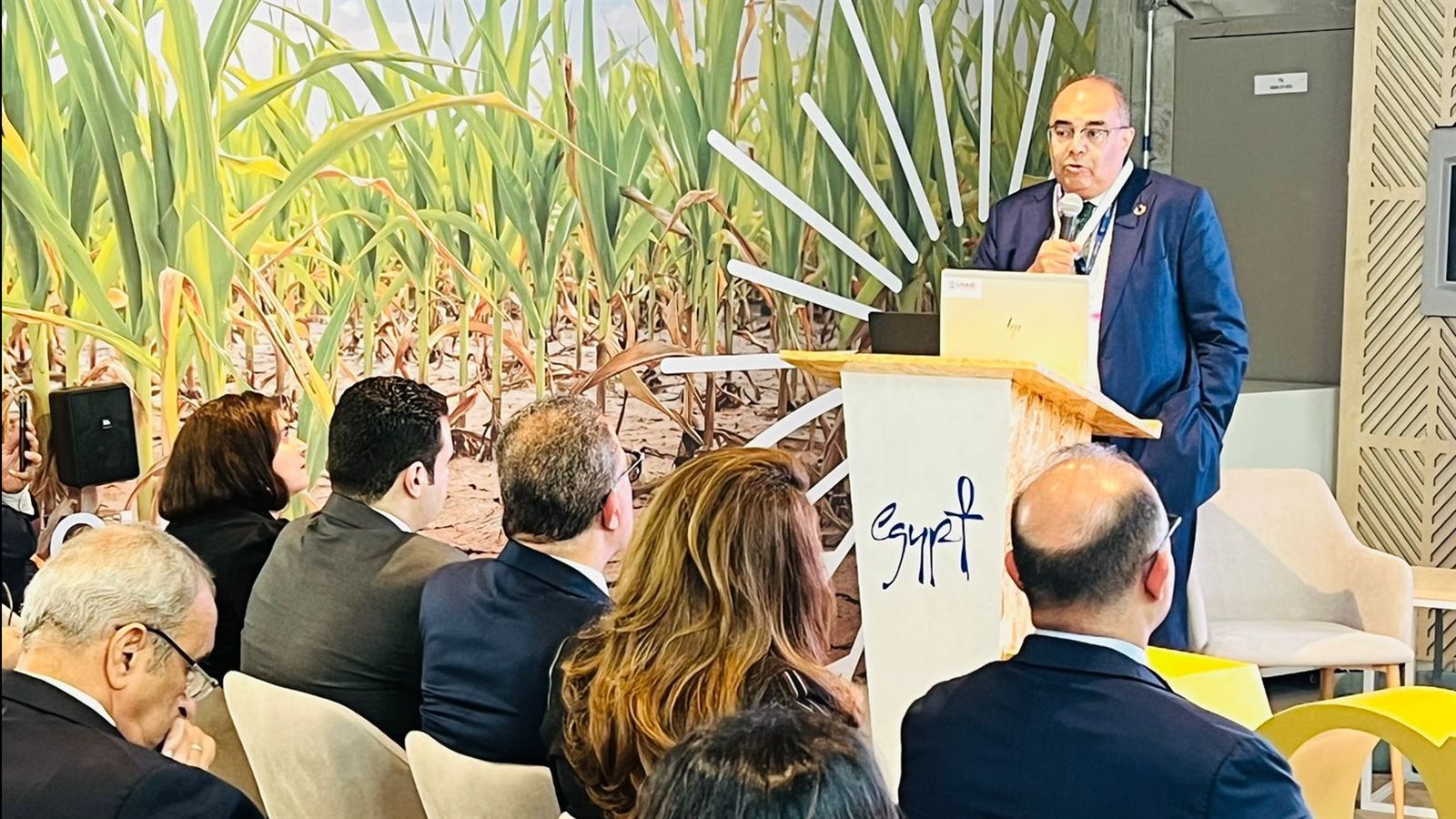 الدكتور محمود محيي الدين
