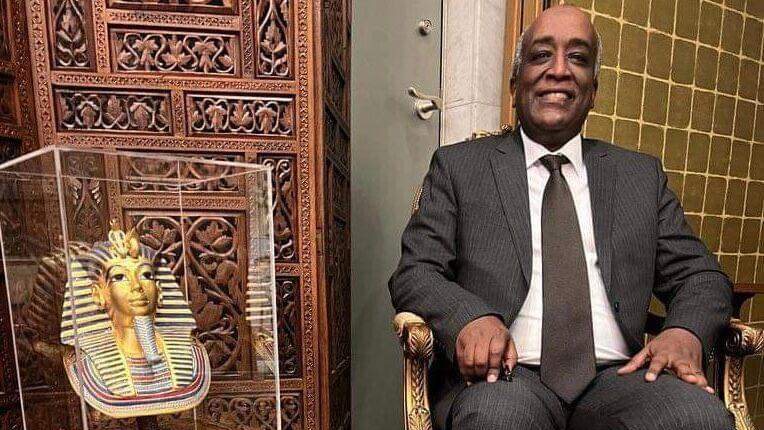  السفير محمد أبوبكر، سفير مصر في طوكيو