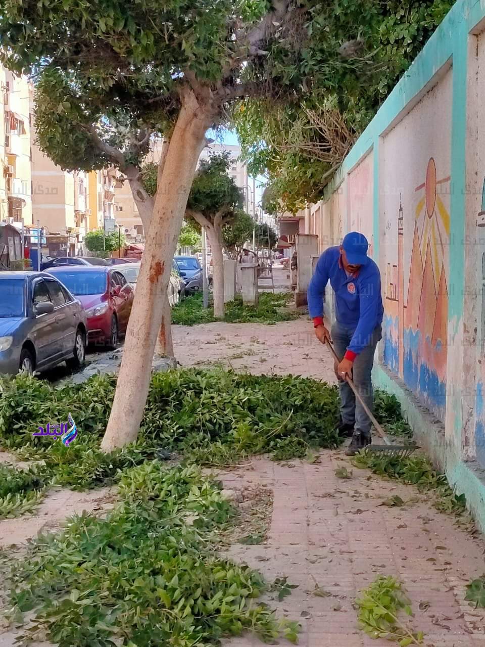 FB_IMG_1701513439842