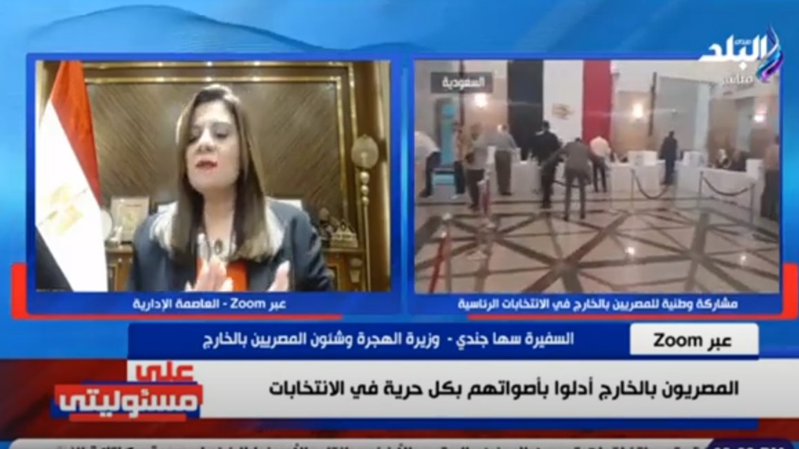 سها الجندي، وزيرة الدولة لشؤون الهجرة