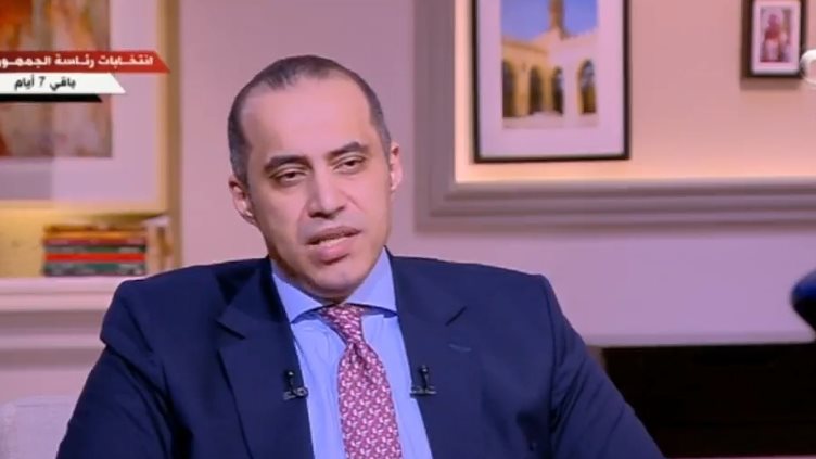 محمود فوزي، رئيس الحملة الانتخابية للمرشح عبدالفتاح السيسي 