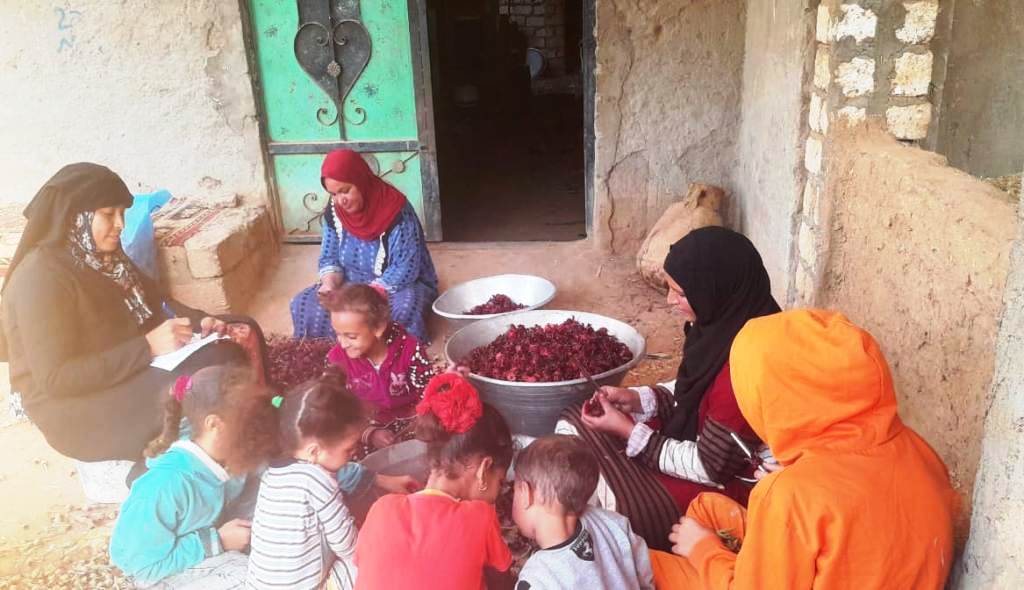 جهود وأنشطة المجلس القومى للمرأة بأسوان 