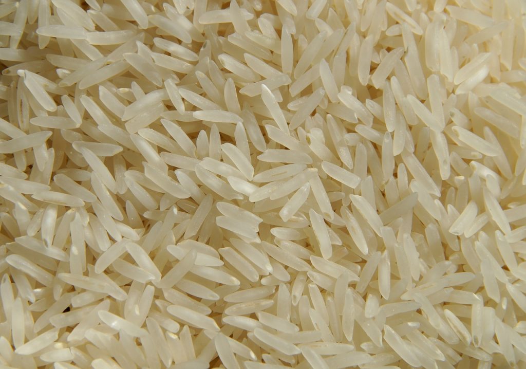 الأرز 