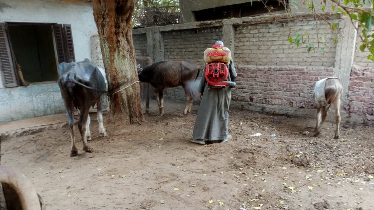 قافلة بيطرية