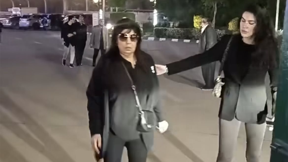 فيفي عبده 