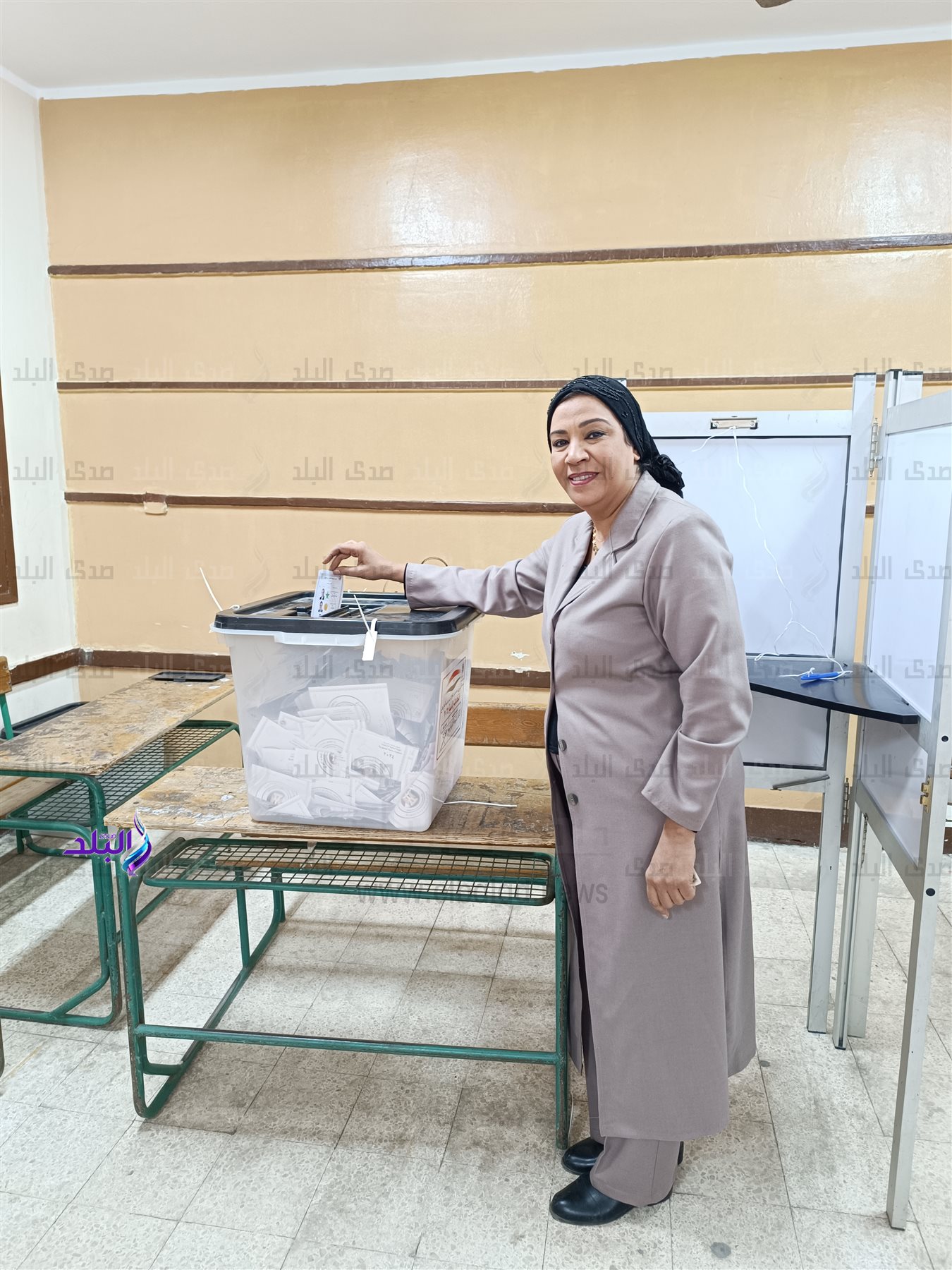 النائبة نشوي الديب 