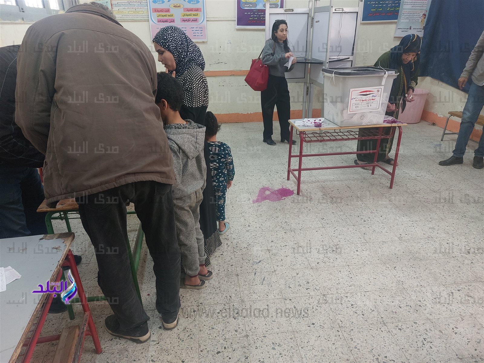 اللجان الانتخابية في طرة 