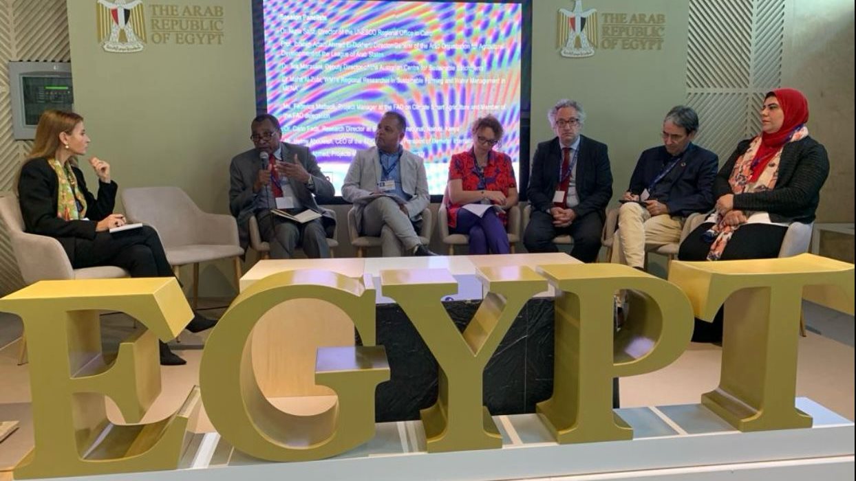 مدير المنظمة العربية يشارك في الجلسة 