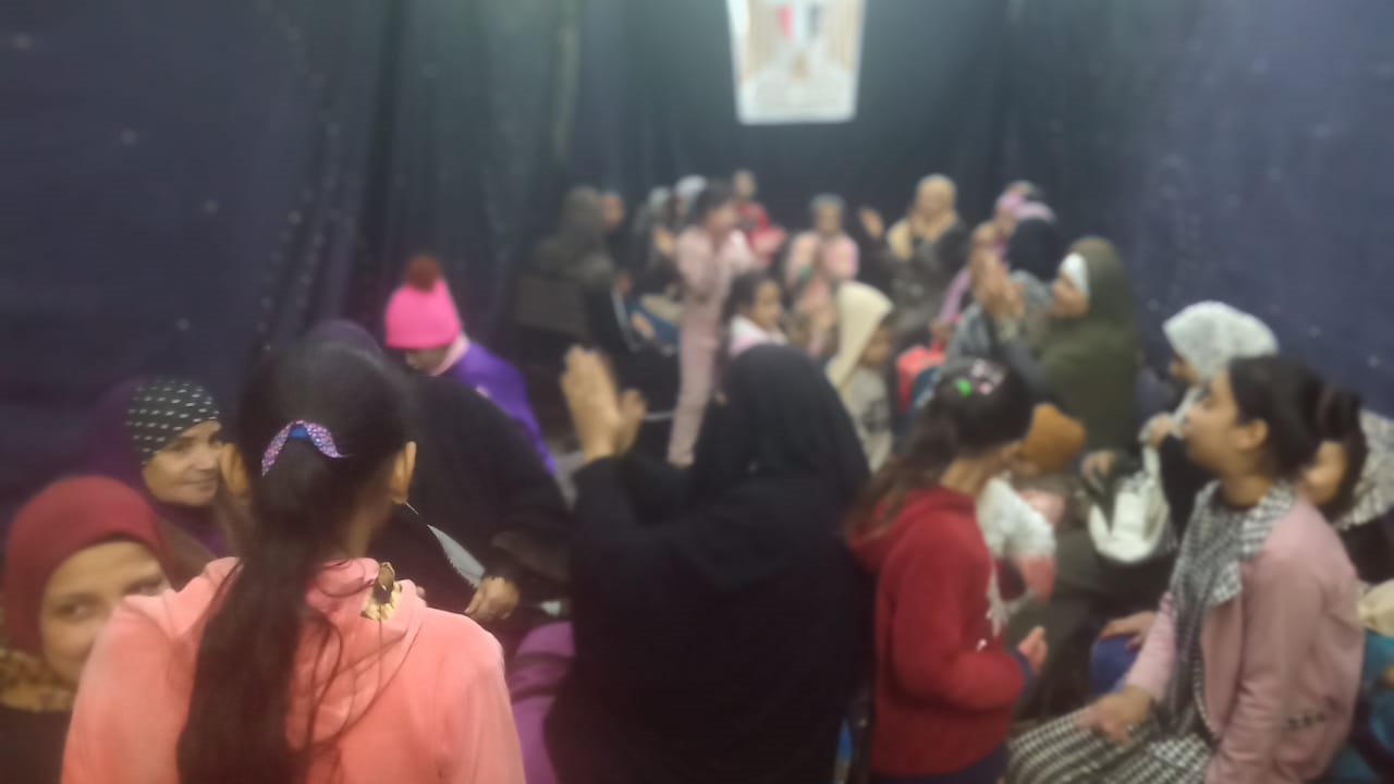 لجان الانتخابات الرئاسية 