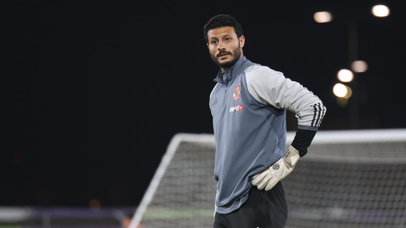 محمد الشناوى