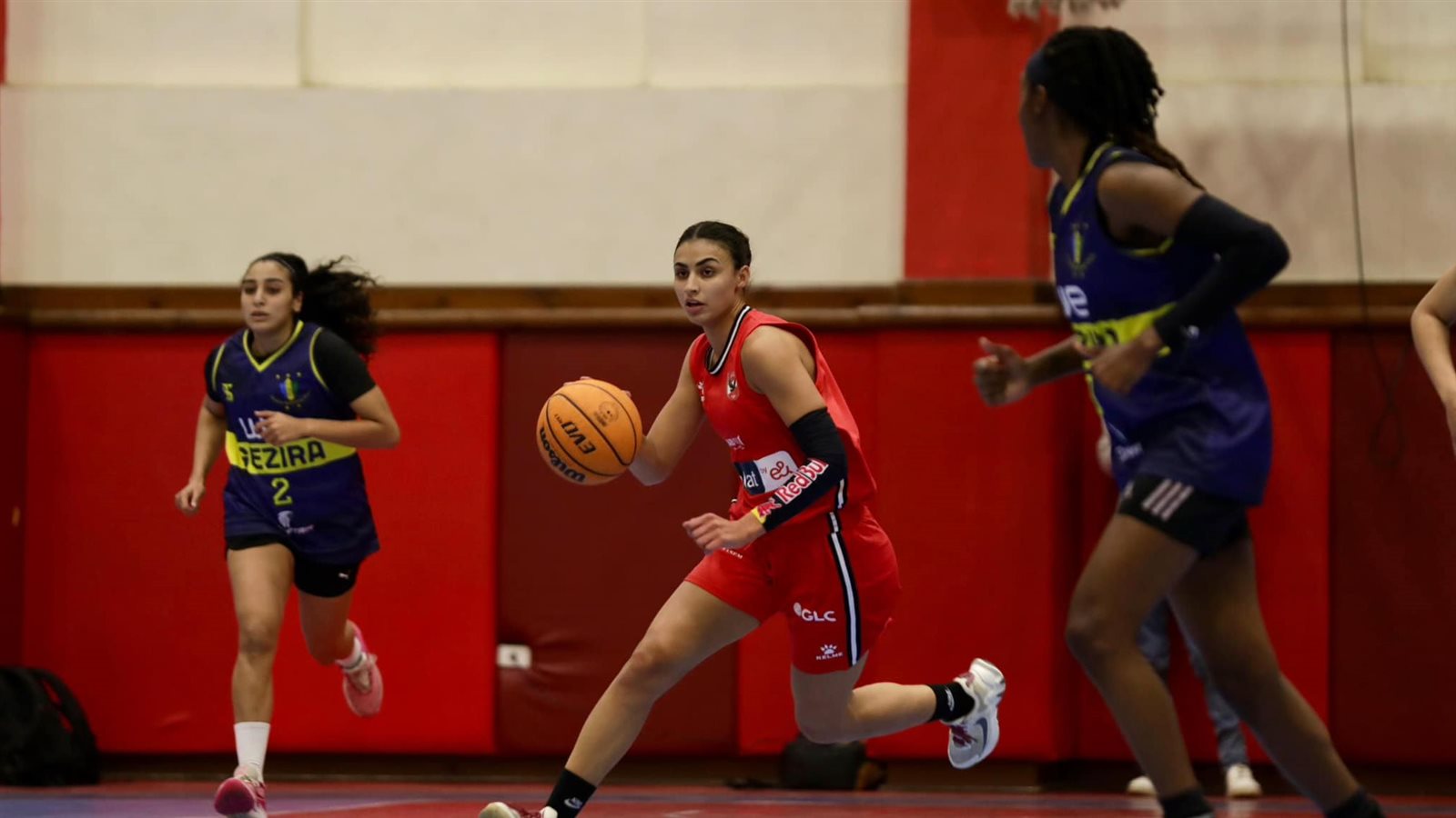 سلة  الأهلي سيدات