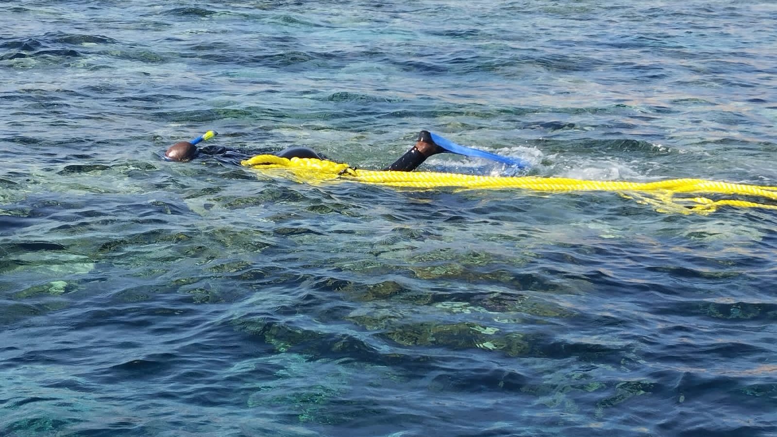 صورة موضوعية