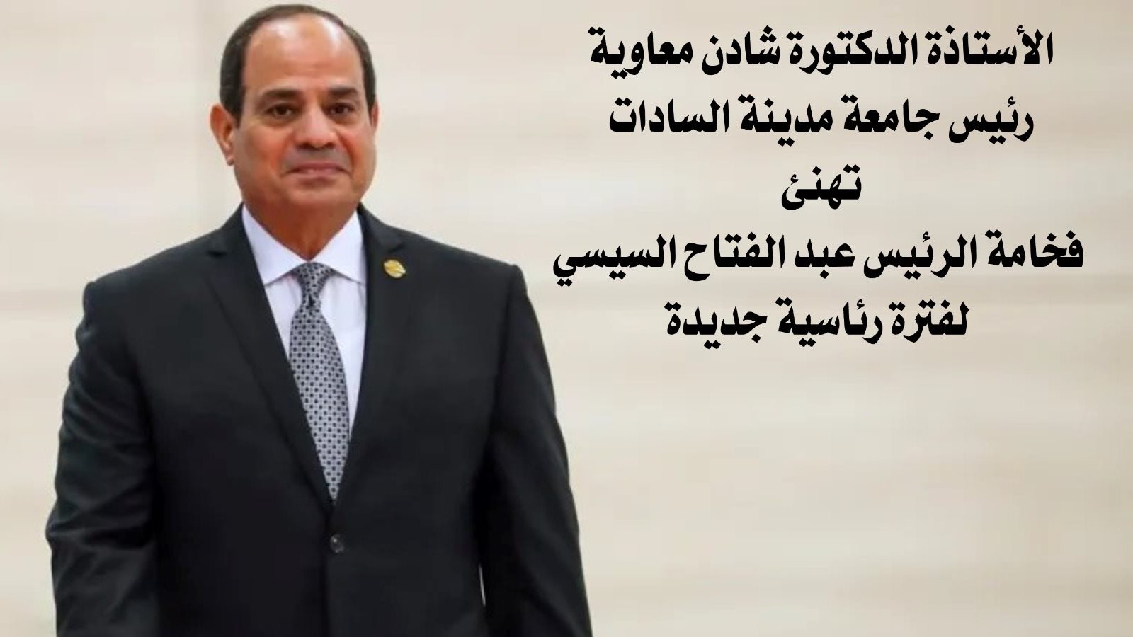 الرئيس السيسي 