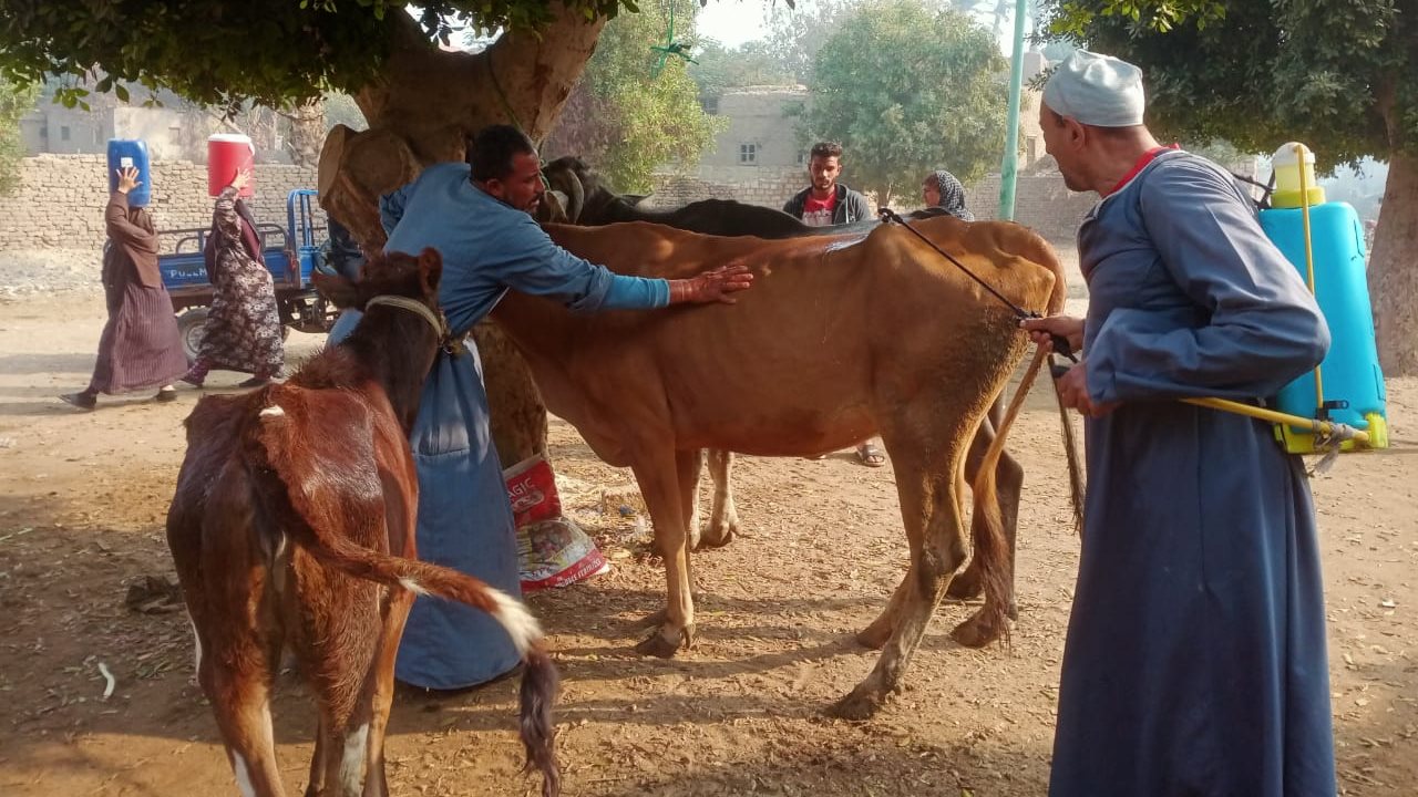 قافلة بيطرية