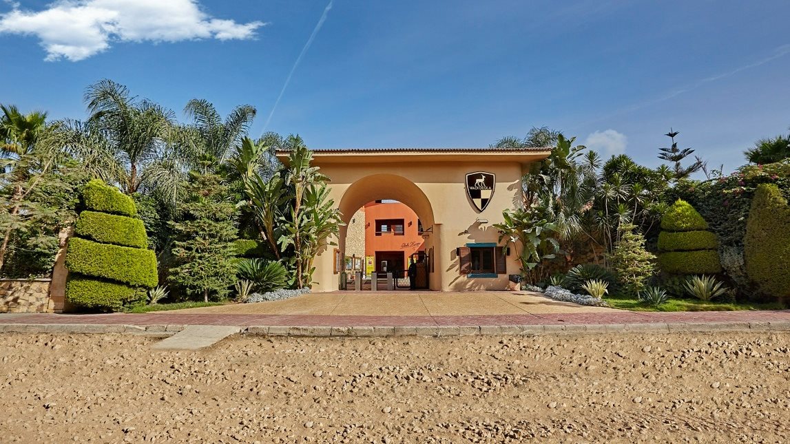 منتجع النخيل