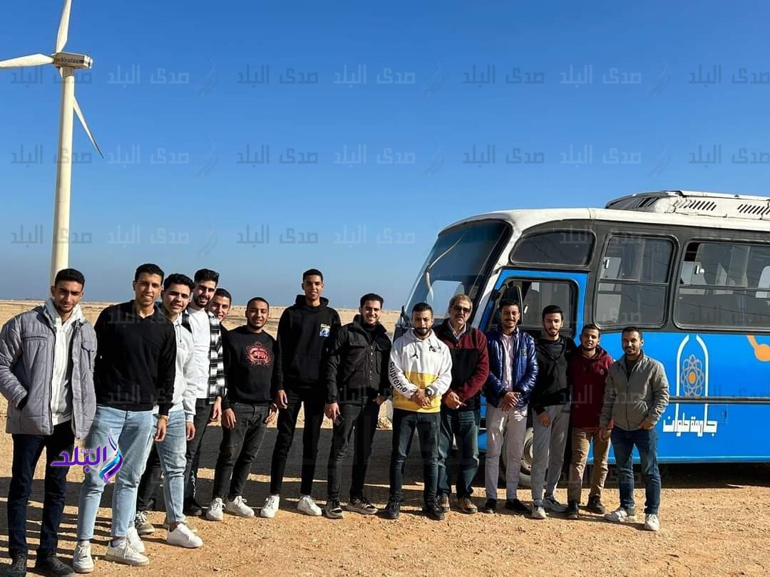 جامعة حلوان