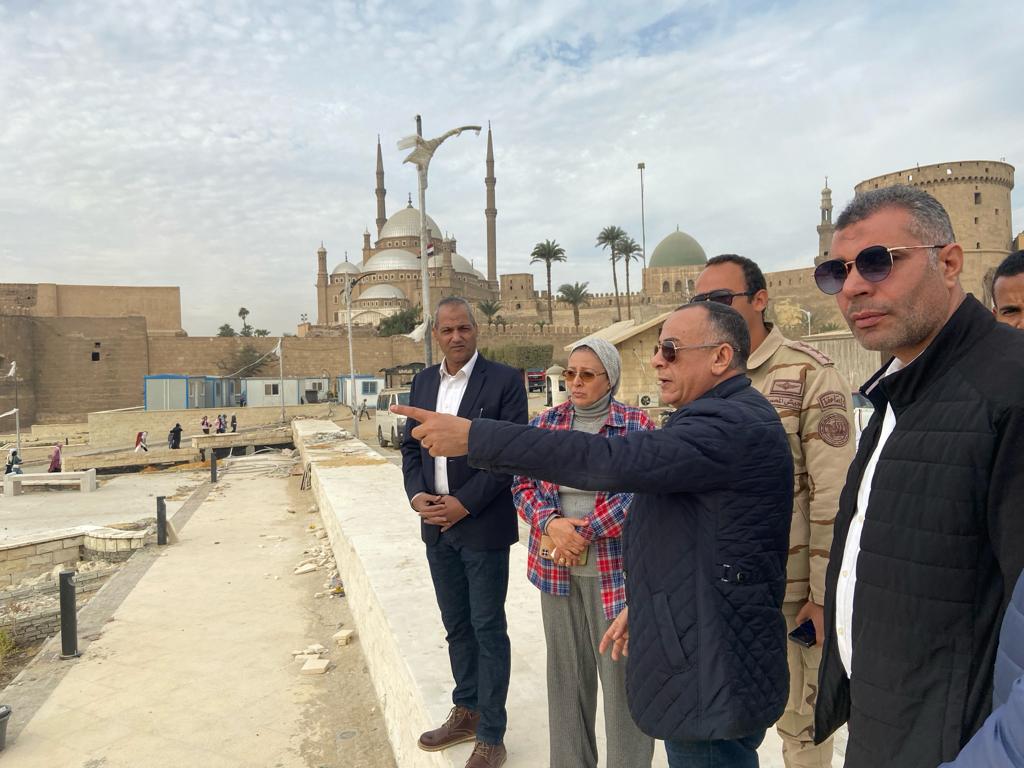 مصطفي وزيري 