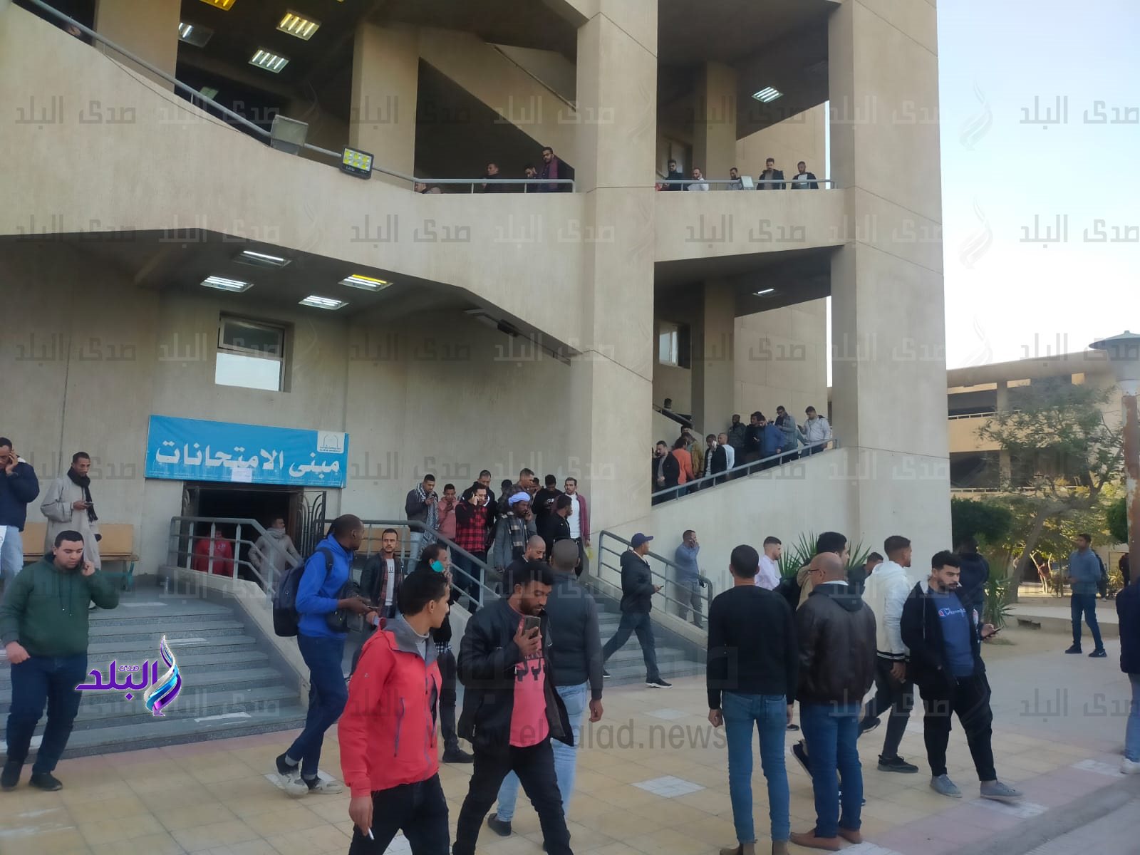 جامعة حلوان تعقد اختبارات لاختيار الكفاءات الفنية للعمل بالشركة المصرية لنقل الكهرباء3