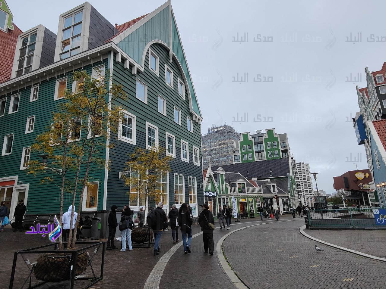 photo_5787580637836854011_y