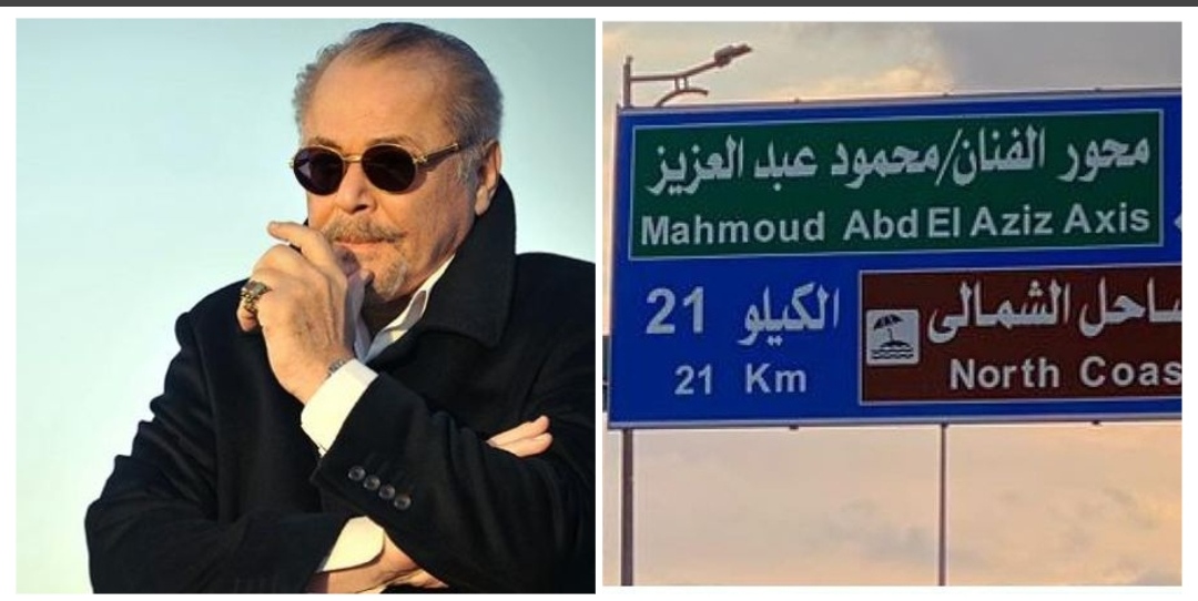 محمود عبد العزيز 