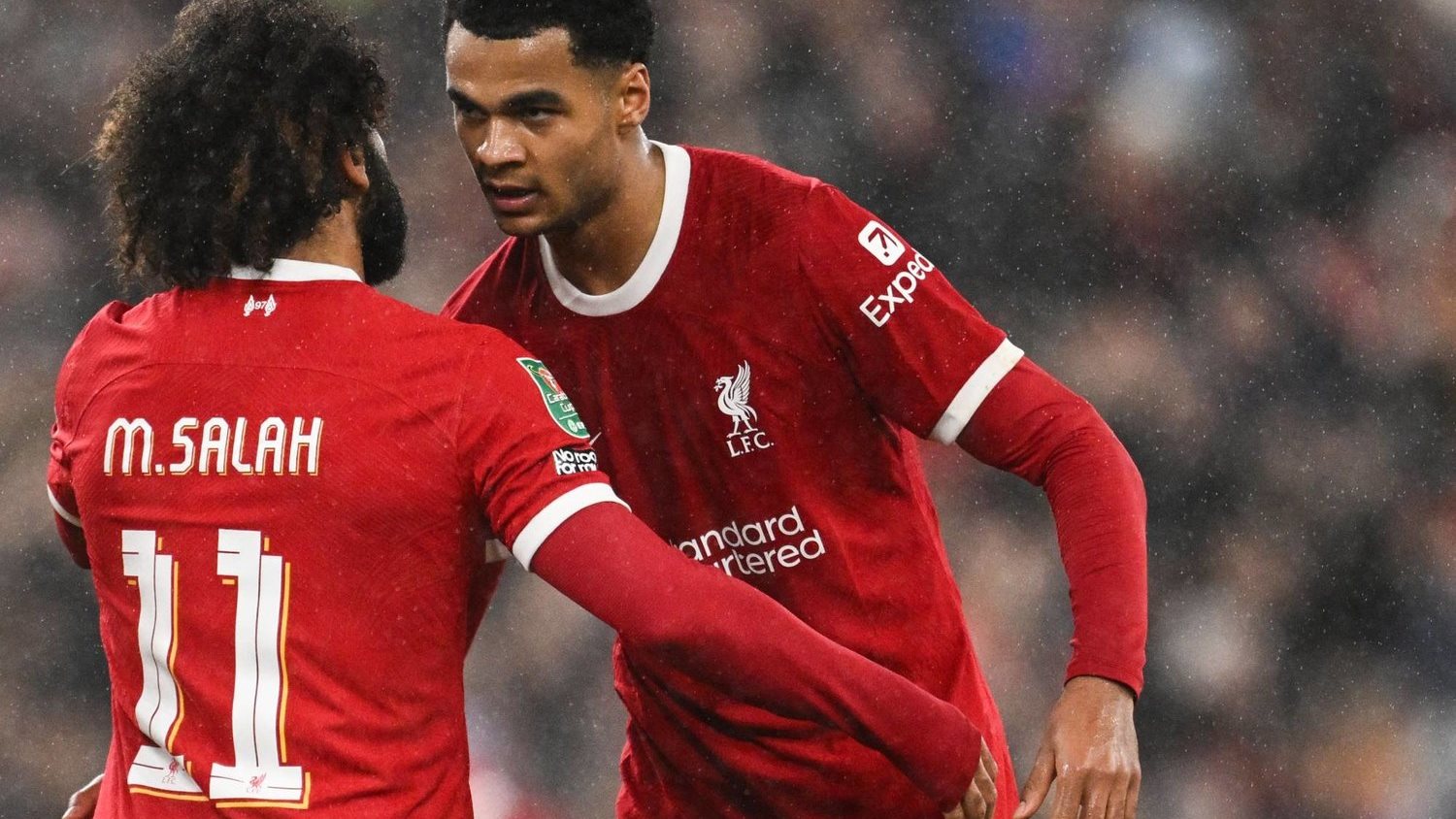 محمد صلاح  محمد صلاح