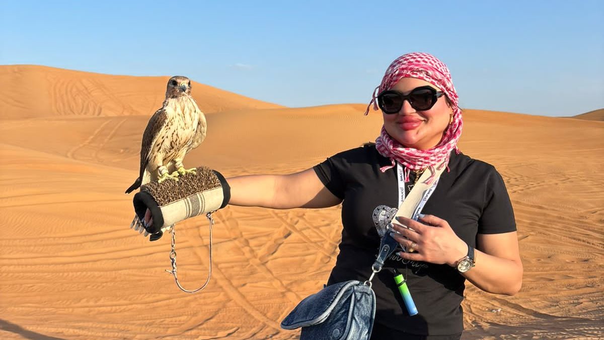 حماية الصقر الجوال 