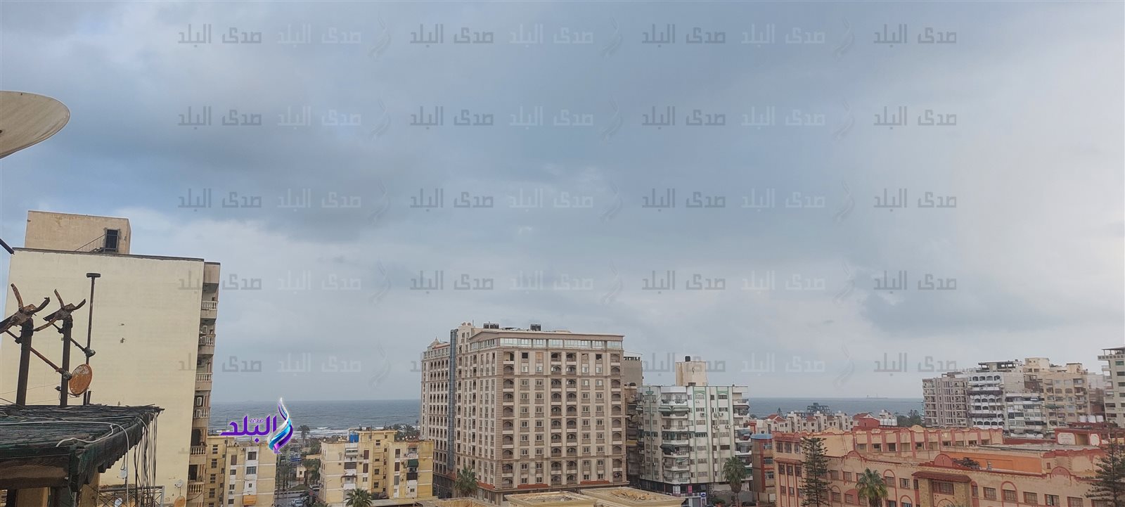 ٢٠٢٣١٢٢٨_٠٩٠٦٥١