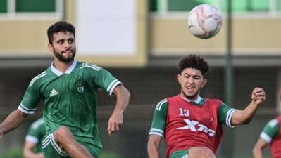 محمد محمود