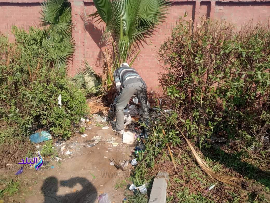 FB_IMG_1703921175441