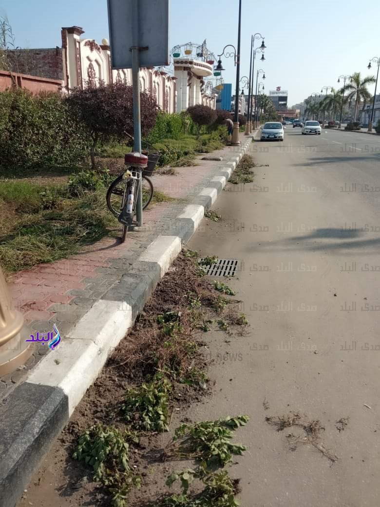 FB_IMG_1703921167875