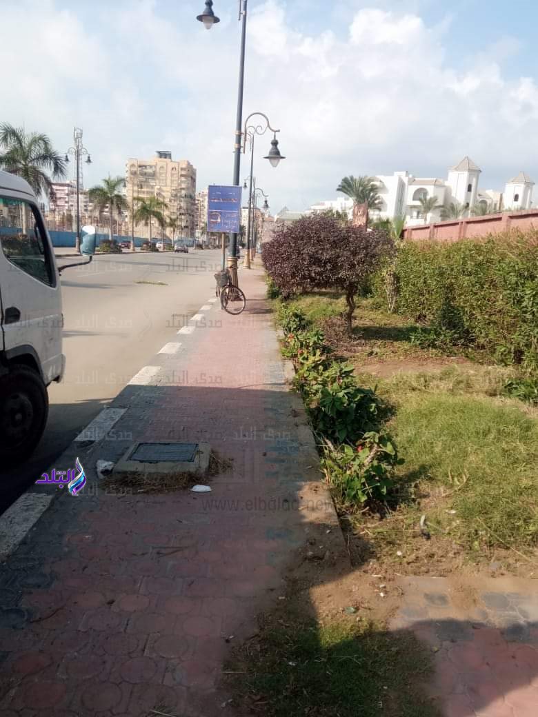 FB_IMG_1703921160924