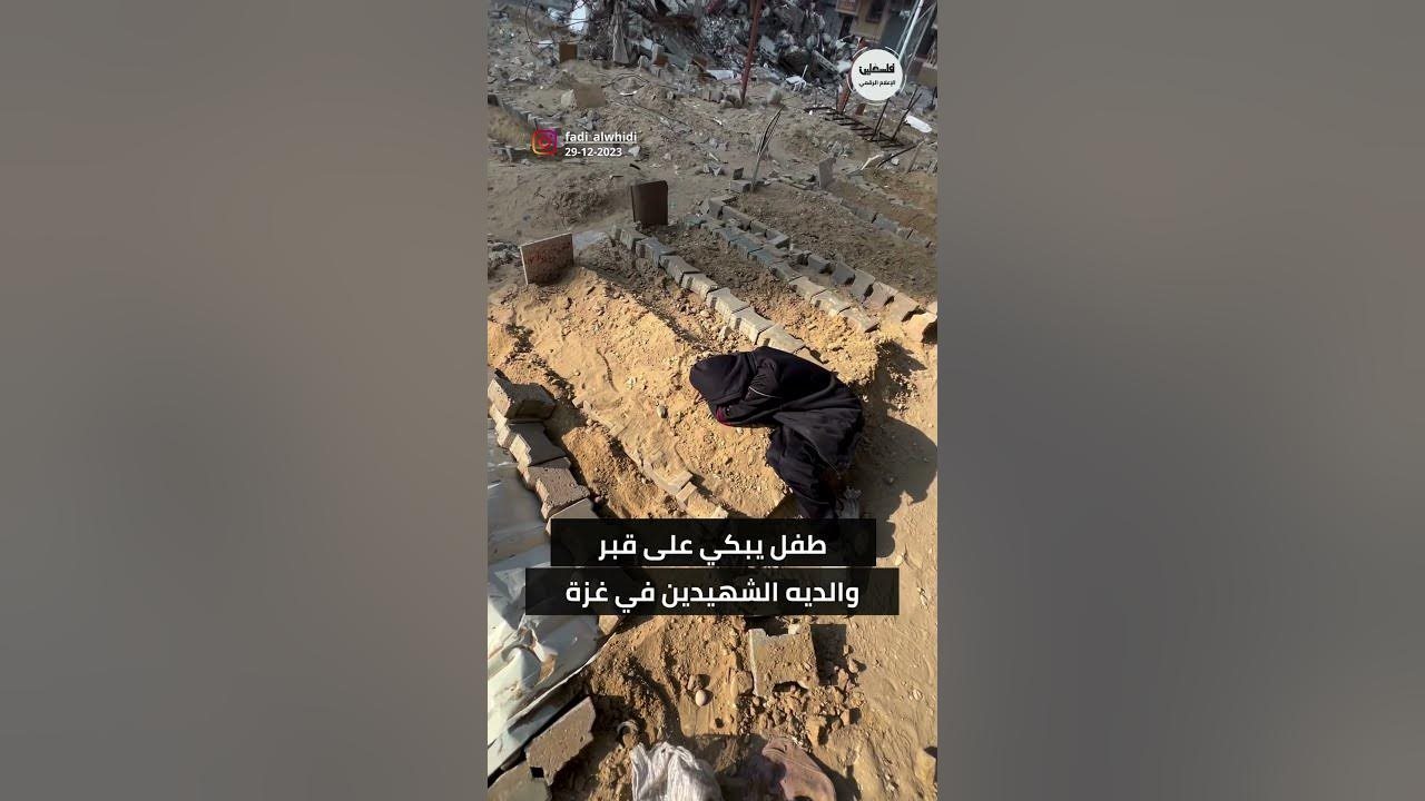 طفل فلسطيني 