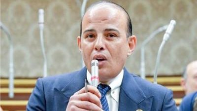 عمرو القطامى، أمين سر لجنة الشئون الاقتصادية بمجلس النواب