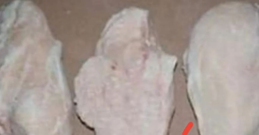 صور الدجاج السئ