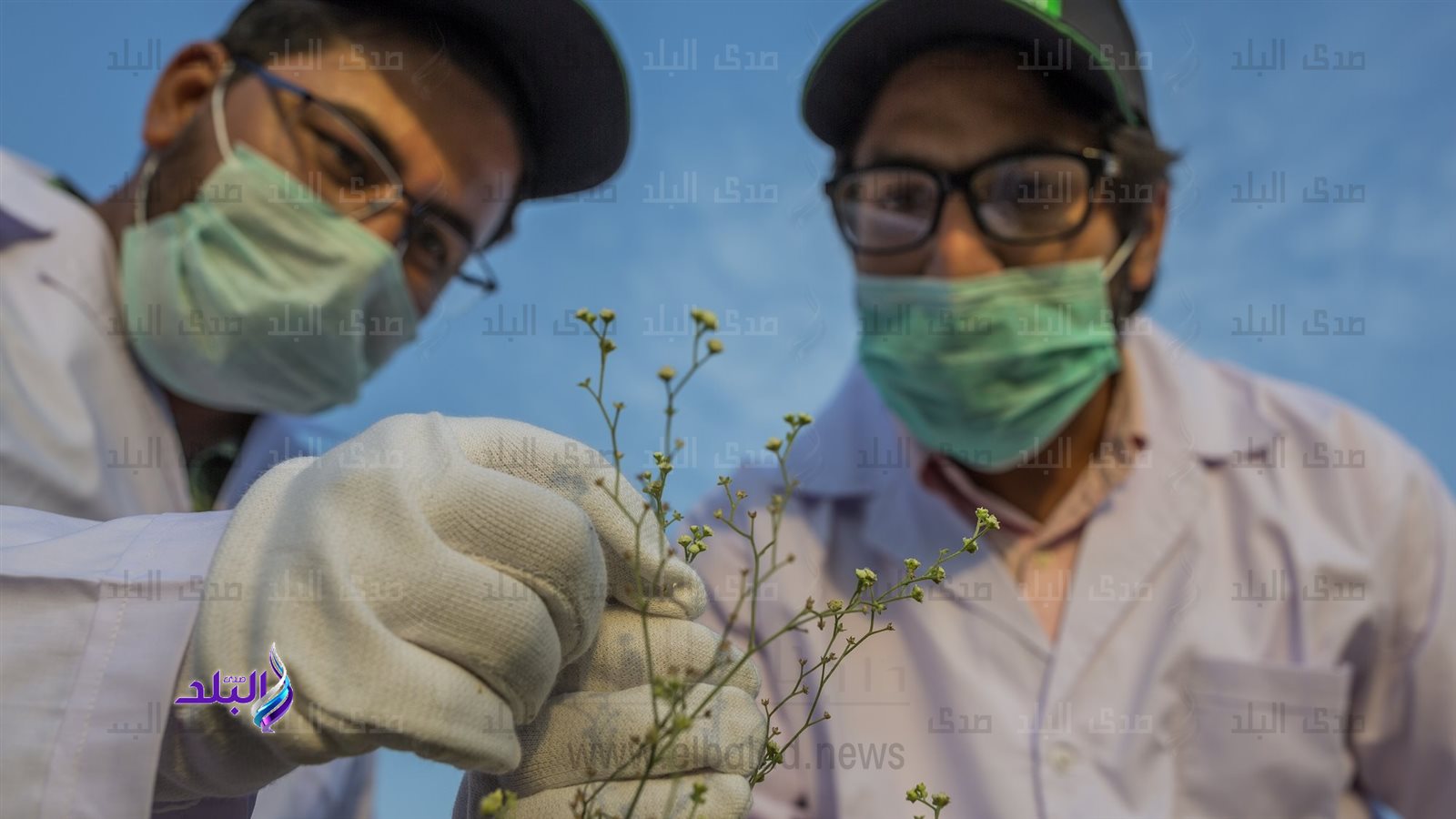 تحديث المناهج ضرورة ملحة لتحقيق تقدم في قطاع الزراعة