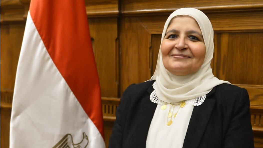 سلوي أبو الوفا عضو مجلس النواب  