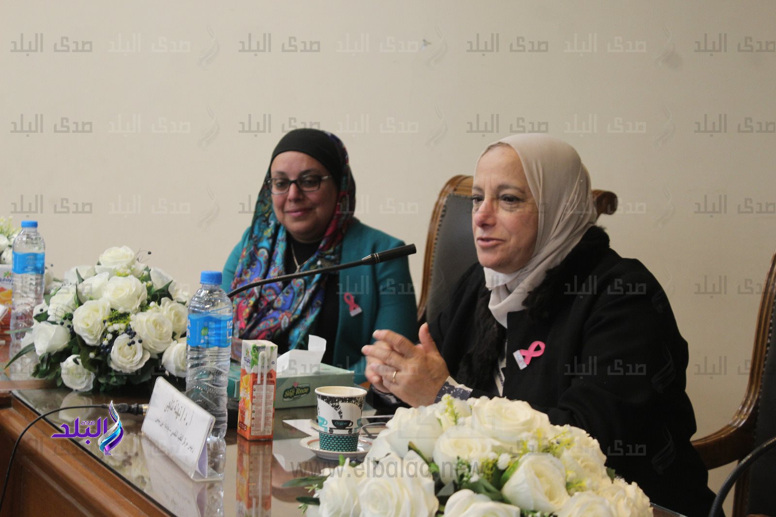 جامعة عين شمس1