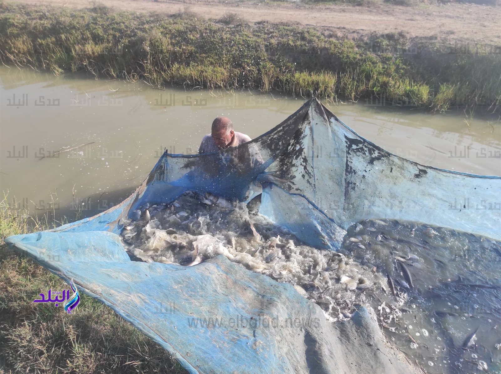 IMG_COM_٢٠٢٤٠١٢٥_٠٨٣٨_٠٠_٥٨٦4