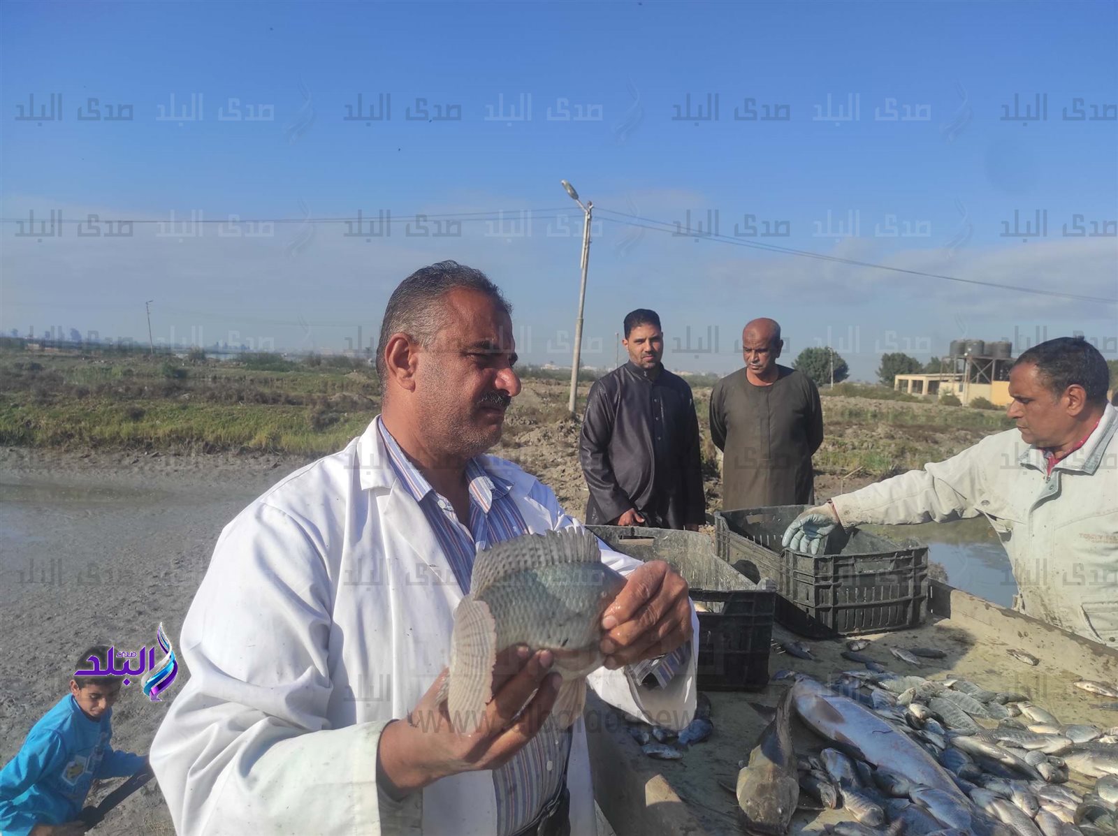 IMG_COM_٢٠٢٤٠١٢٥_٠٨٣٨_٠٠_٩٦٤10