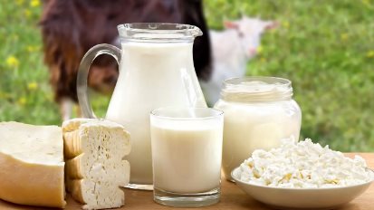 حليب كامل الدسم 