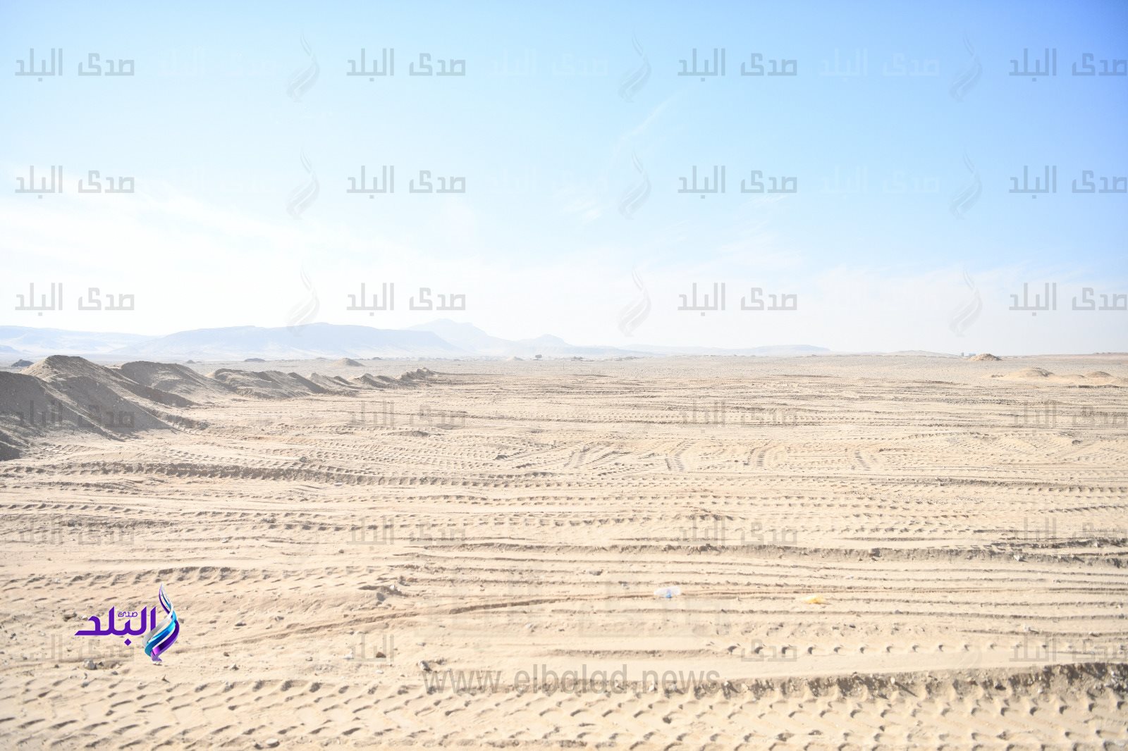 وزيرة البيئة (10)