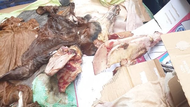 لحوم غير صالحة 