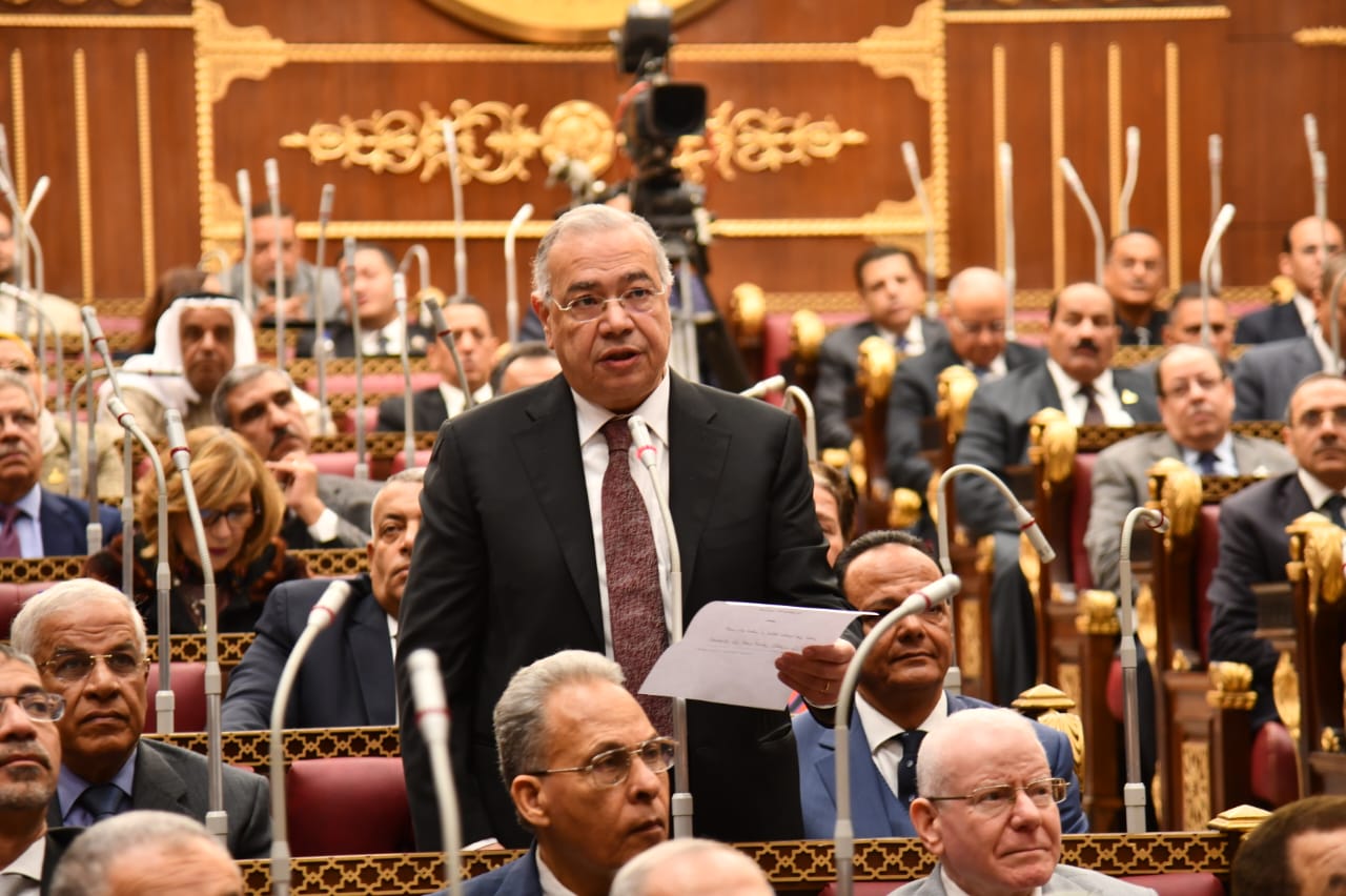 الدكتور عصام خليل عضو مجلس الشيوخ