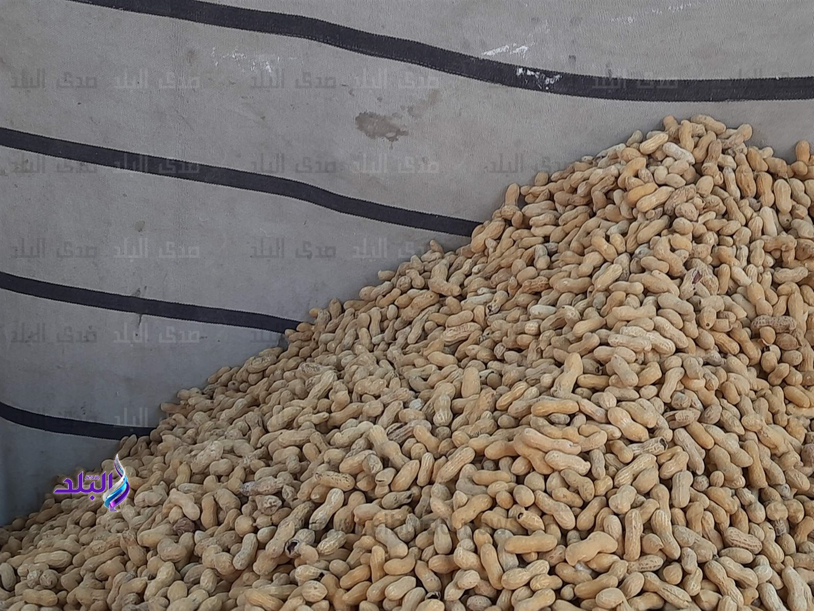 0_٢٠٢٤٠٢١٨_١٦١٥٤٢_٠٩٢٧٢٤