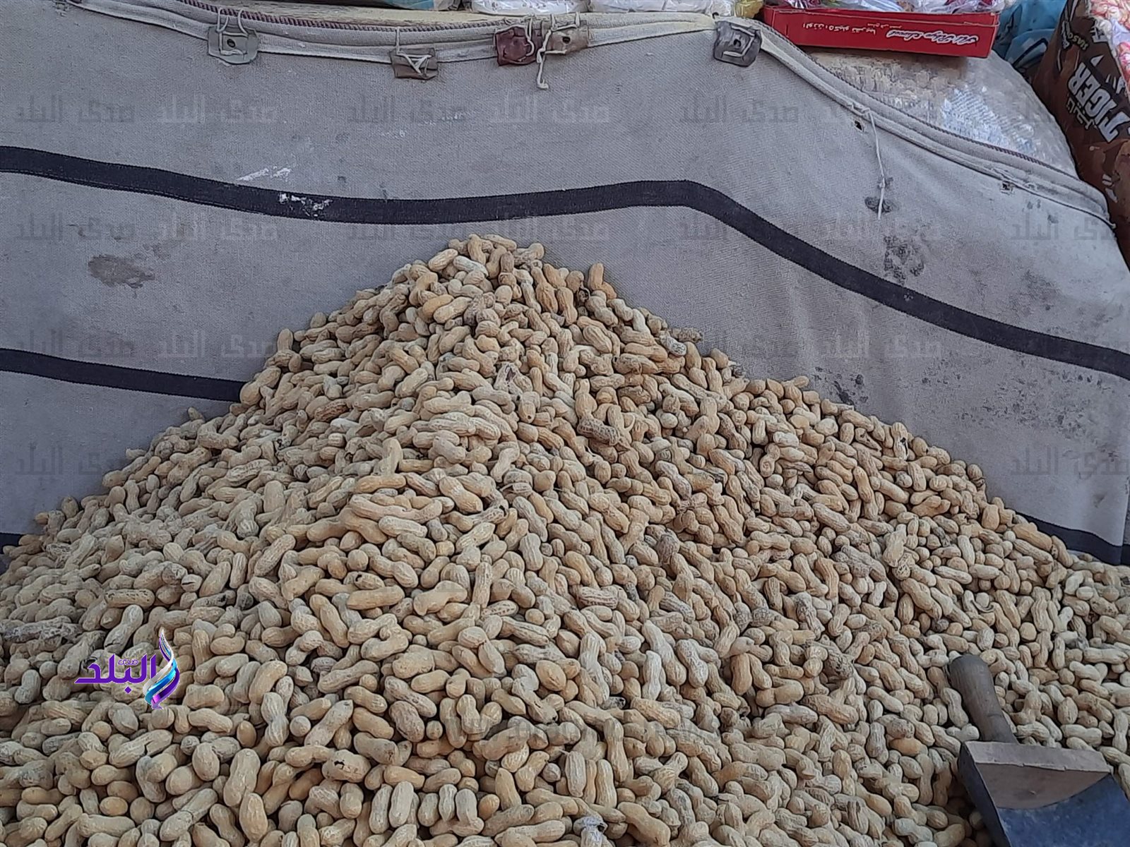 0_٢٠٢٤٠٢١٨_١٦٢١٠٩_٠٩٢٧١٥