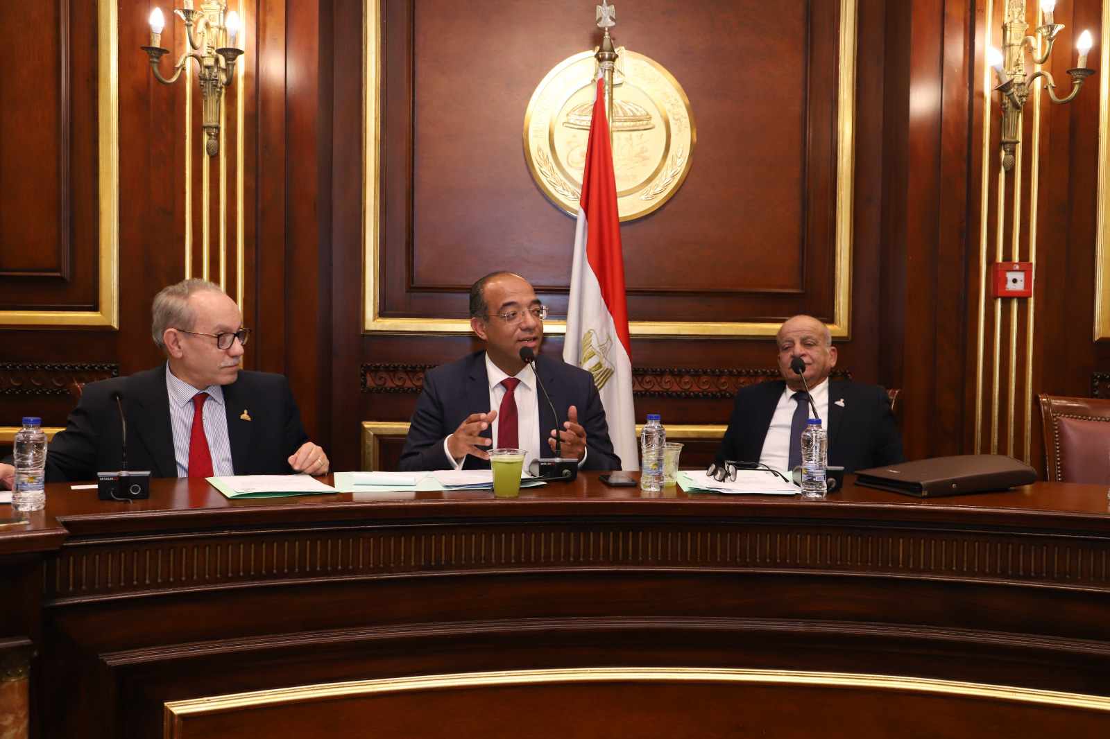 لجنة الصحة والسكان بمجلس  الشيوخ 